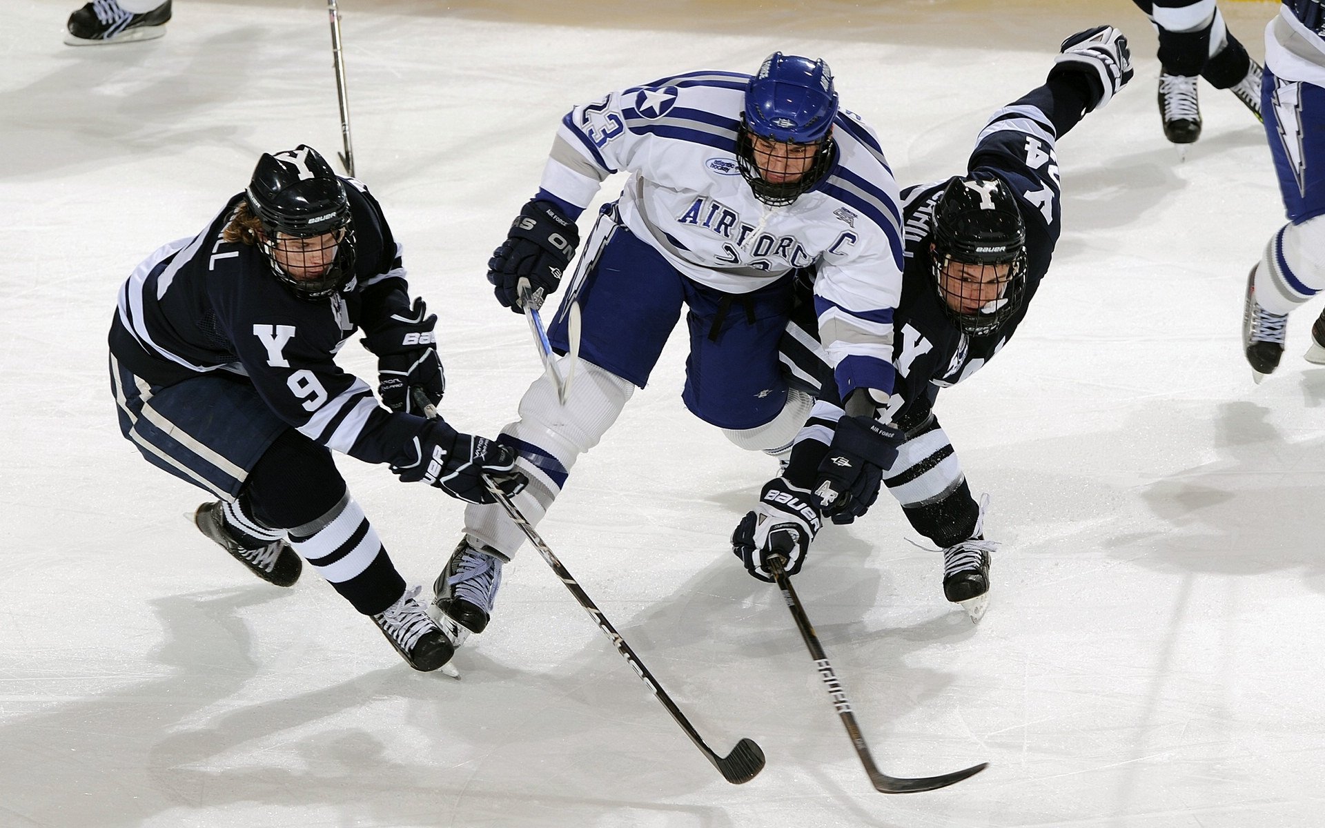 新明星崭露头角，值得期待！，新明星的照片