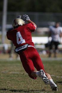 主场作战优势明显 球队延续连胜纪录，主场作战下一句是啥